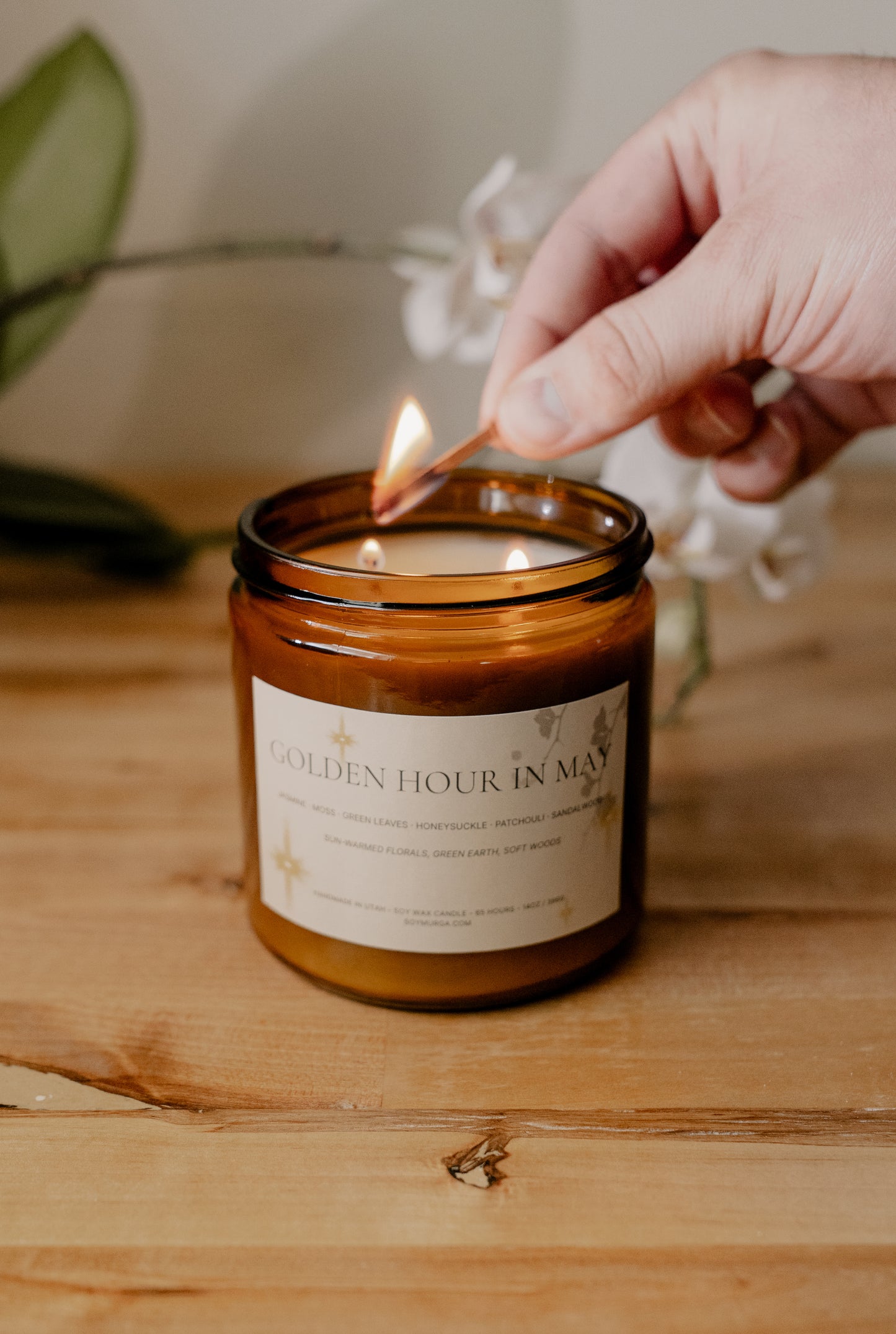 The Secret Scent Society
